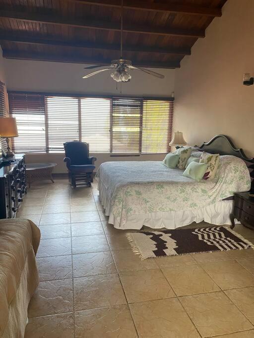 Coronado Beachfront Tropical Home! 플라야 코로나도 외부 사진